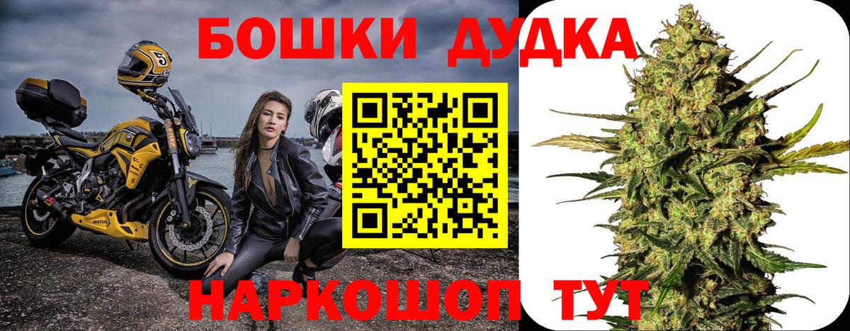 Бошки Шишки планчик Заволжье